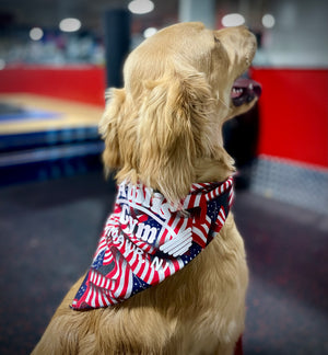 
                  
                    Dog Bandana
                  
                